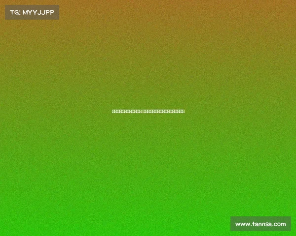 切尔西官网更新一线队名单 斯特林韦加等九名球员未列入主力阵容